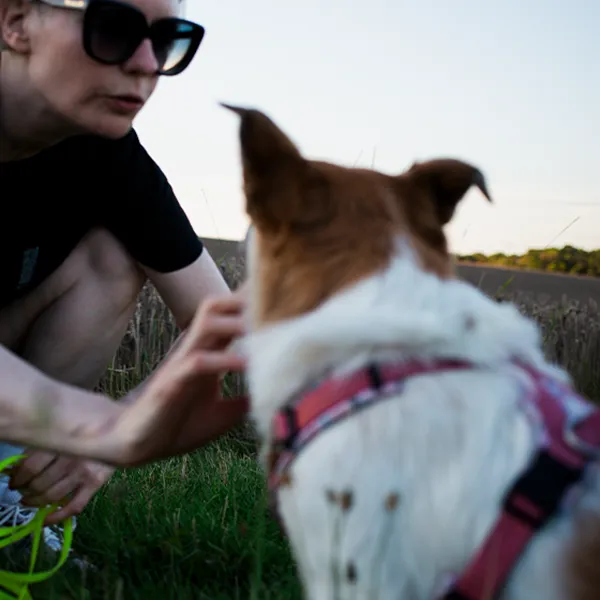 Regina Levenhagen interagiert spielerisch mit ihrer Hündin Smilla auf einem Feld im Kontext ihres ehrenamtlichen Engagements für Tierschutzhunde