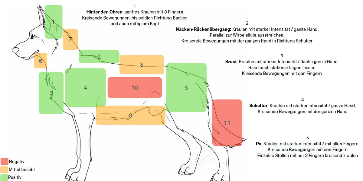 Grafik zeigt an welchen Körperstellen Hunde Berührung als angenehm oder unangenehm empfinden