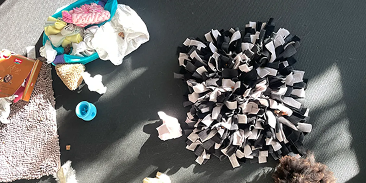 Schnüffelteppich als ruhige Beschäftigung für Hunde an Silvester