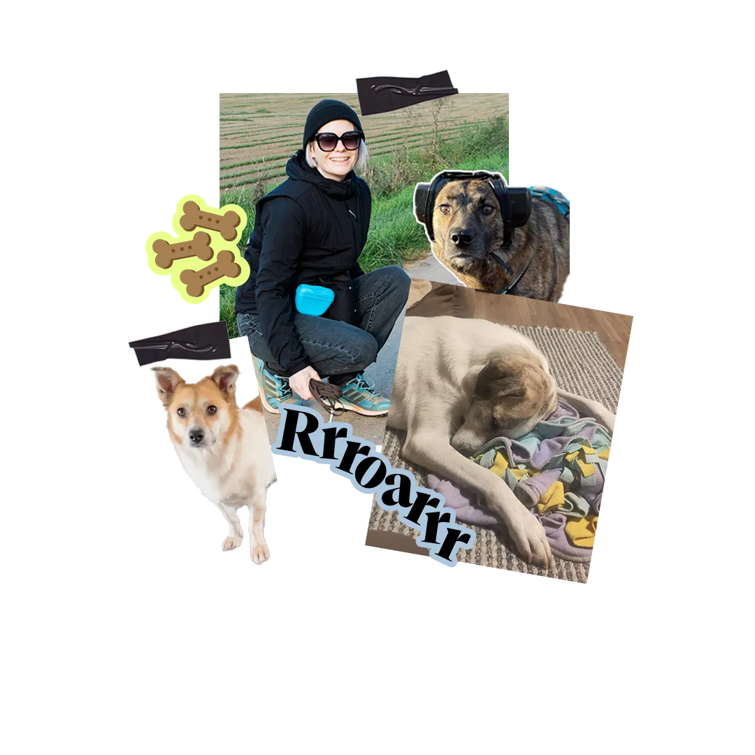 Hundetrainerin begleitet unterschiedliche Hunde im Alltag bei Begegnungen, Bewegung und Training